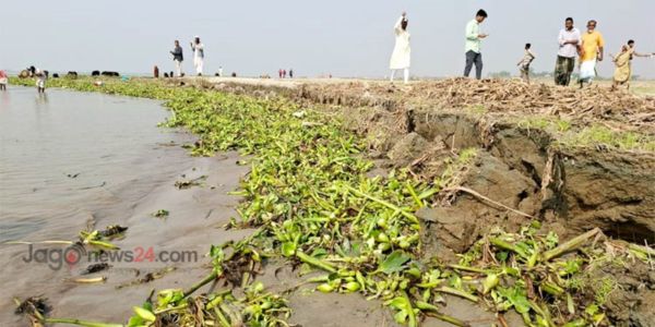 মেঘনায় বালু উত্তোলনে বিলীন হচ্ছে তীরবর্তী কৃষি জমি