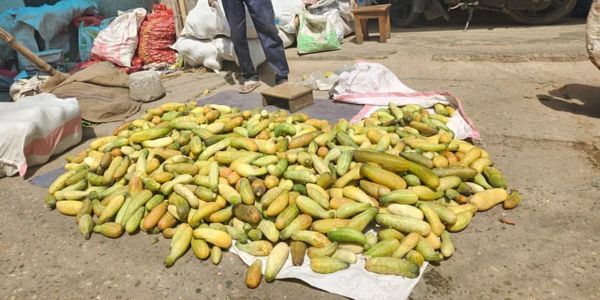 শসাচাষিদের লোকসান, কারণ কী