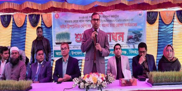 কালীগঞ্জে বিনা খরচে ১৫০ বিঘা জমিতে ধান রোপণ
