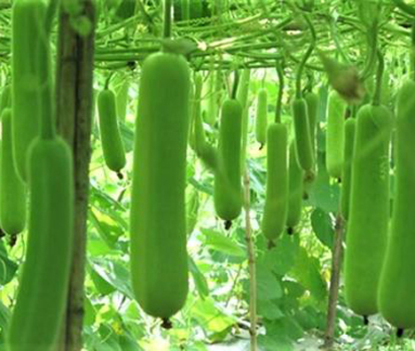 agribarta