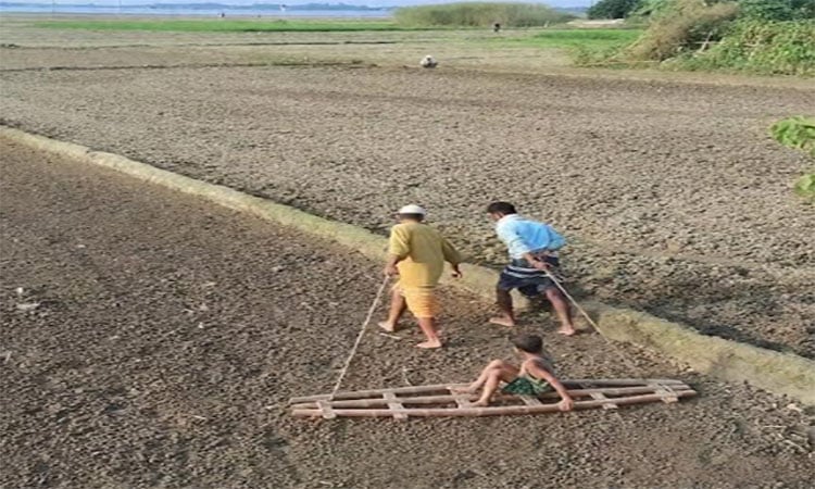 agribarta