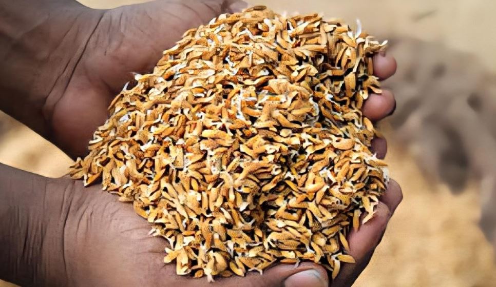 agribarta