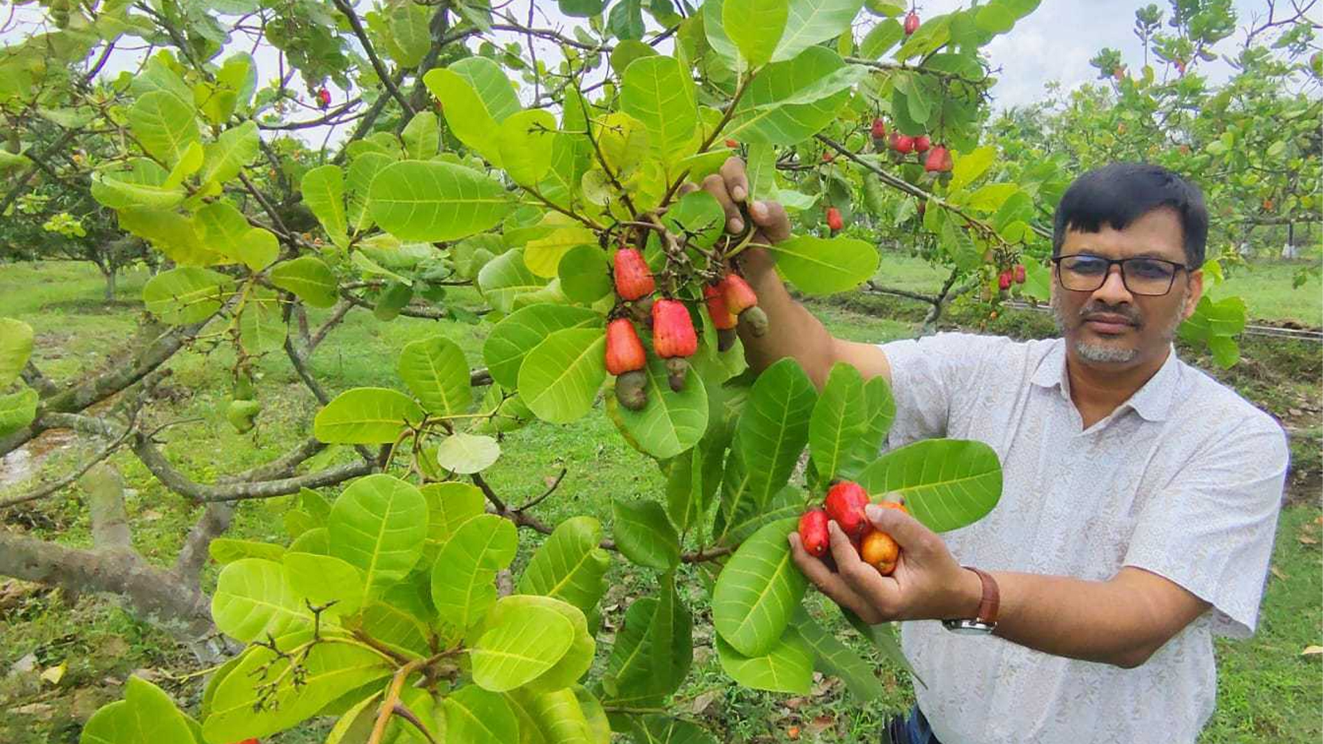 agribarta
