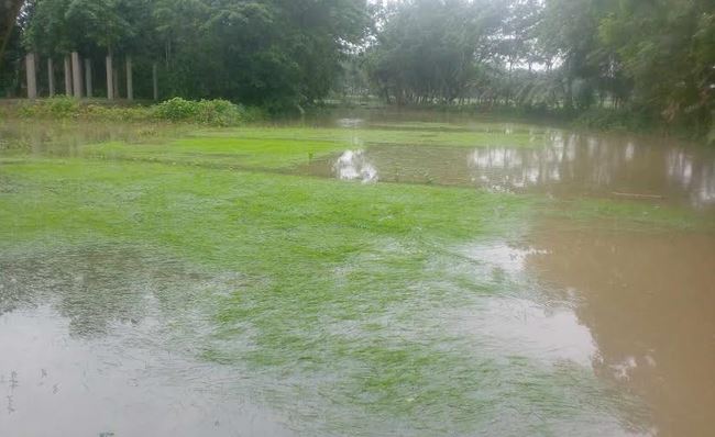 agribarta