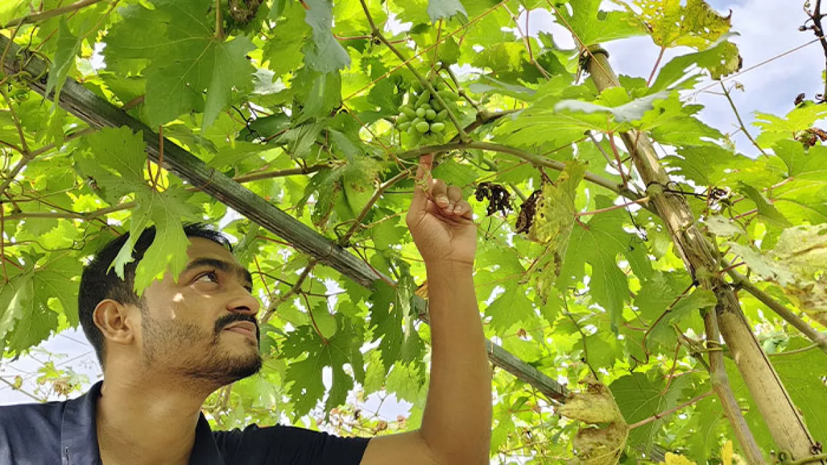 agribarta