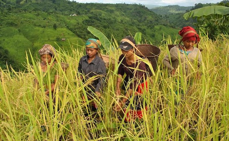 agribarta
